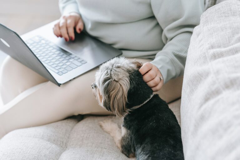 Nainen, laptop, koira_SarahChai, Pexels